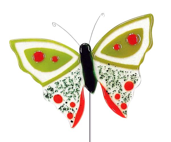 Schmetterling mit Flügeln in grün / orange