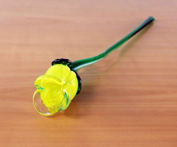 Glasblume gelbe Blüte