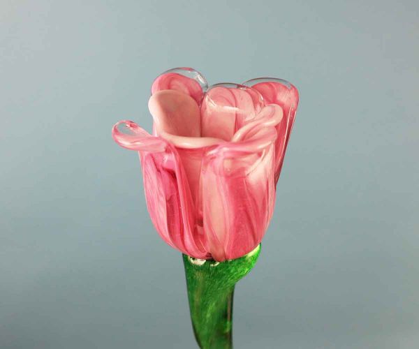 Glasblume rosa Blüte