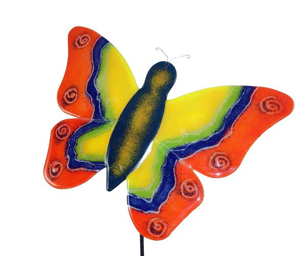Schmetterling mit bunten Flügeln