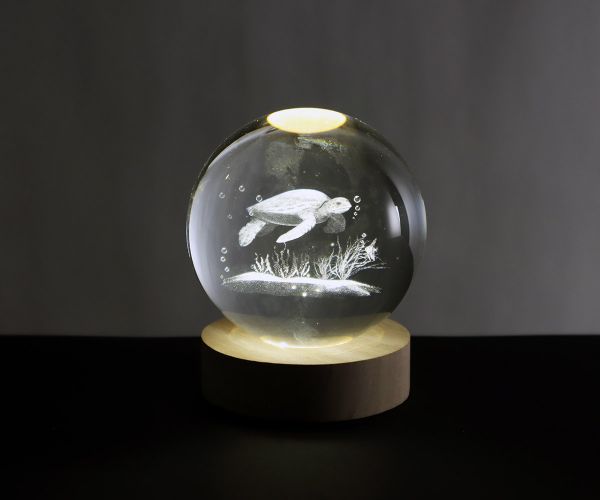 Glaskugel mit 3D-Schildkröte inkl. Holz LED-Untersetzer