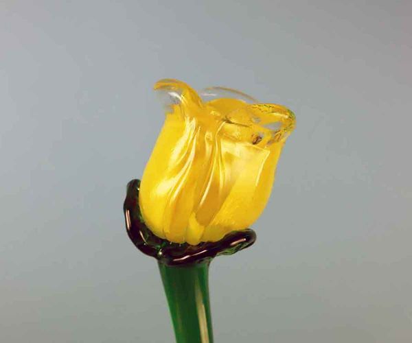 Glasblume gelbe Blüte