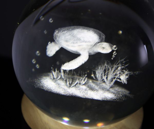 Glaskugel mit 3D-Schildkröte inkl. Holz LED-Untersetzer