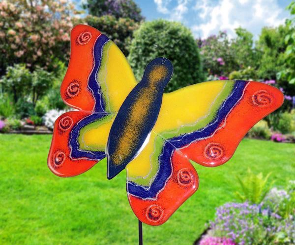 Schmetterling mit bunten Flügeln