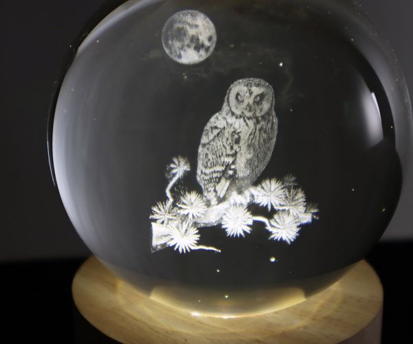 Glaskugel mit 3D-Eule inkl. Holz LED-Untersetzer