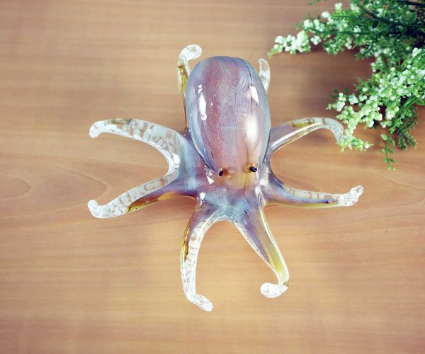Glastier Oktopus
