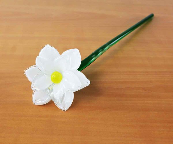 Glasblume weiße Blüte